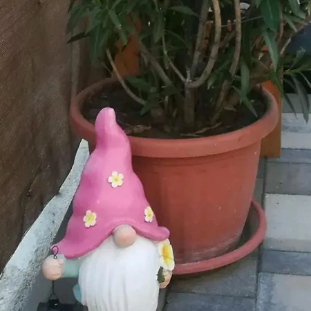 Flower 4 Free Parking